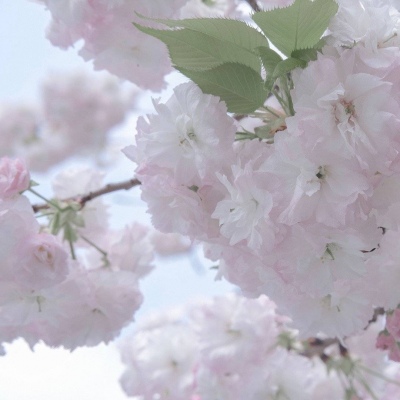 Furry色彩搭配实用技巧兽圈社群